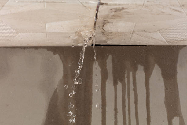 Professional Flood Damage Cleanup technician working in Maplewood, NJ